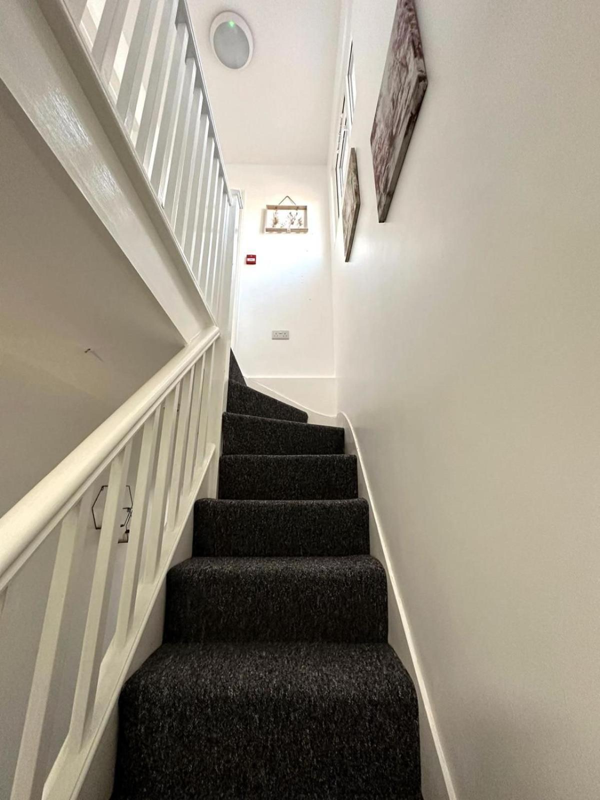 Newmarket Road Studios And Suites By Tas Accommodations Cambridge  Bagian luar foto